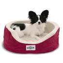 Find out more about our dog boarding services. Find out more about our dog boarding services.