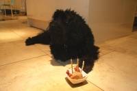 Percy's birthday cake
